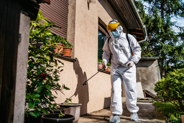Best Cockroach Control Services  in Riesel, TX
