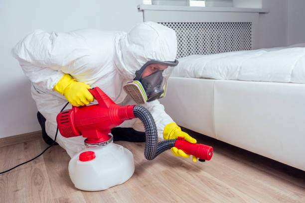 Best Pest Control Treatment  in Riesel, TX