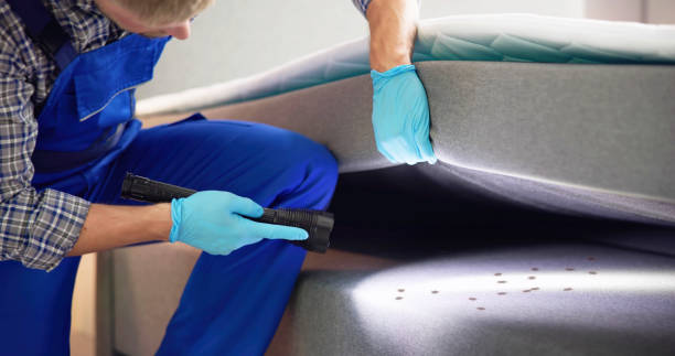 Best Pest Control Near Me  in Riesel, TX