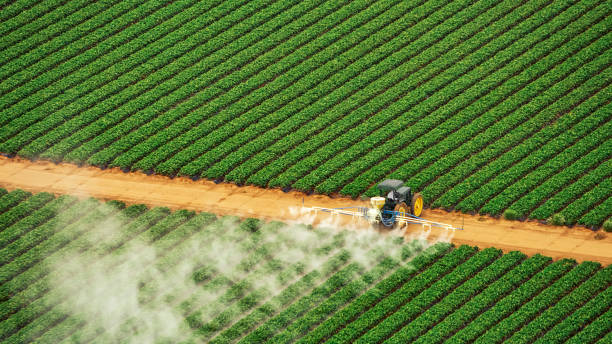 Best Commercial Pest Control Services  in Riesel, TX