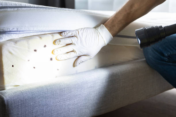 Best Pest Removal Services  in Riesel, TX