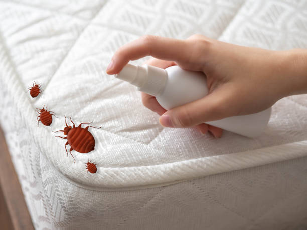 Best Best Pest Control Companies  in Riesel, TX
