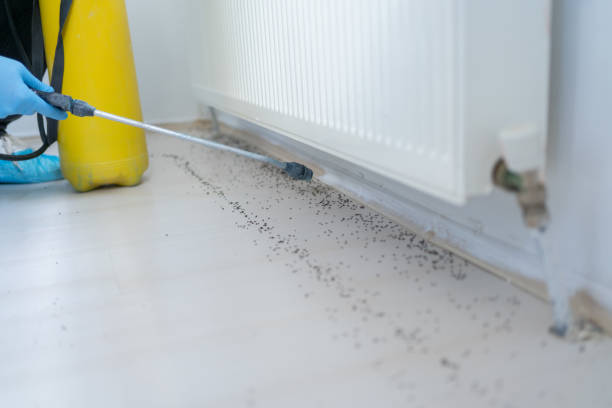 Best Affordable Pest Control Services  in Riesel, TX